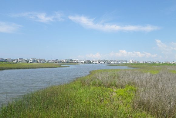 coastal-heritage-preserve-meeting-spot